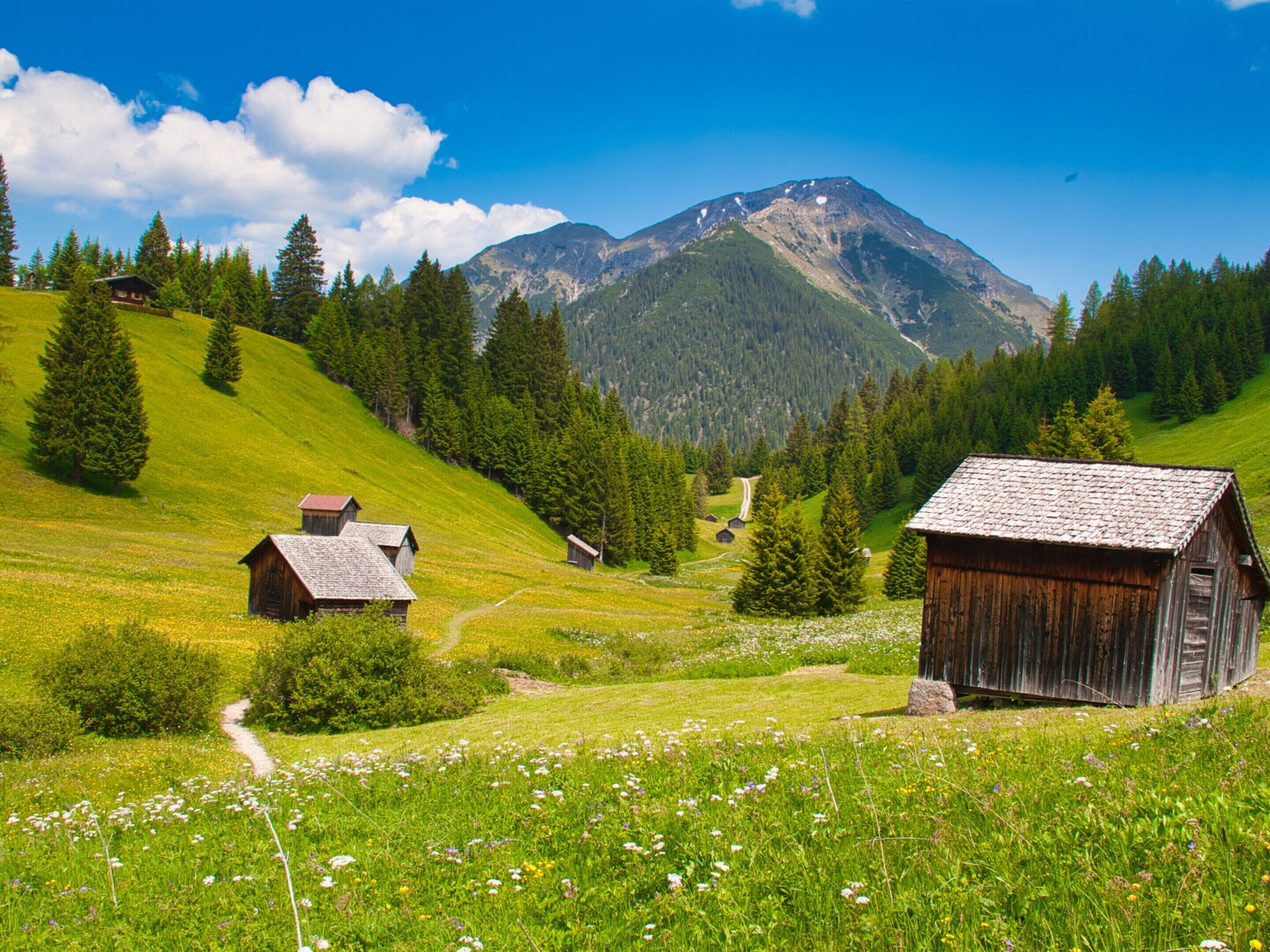 Paesaggio rurale con una baita di legno, un sentiero e una montagna sullo sfondo.