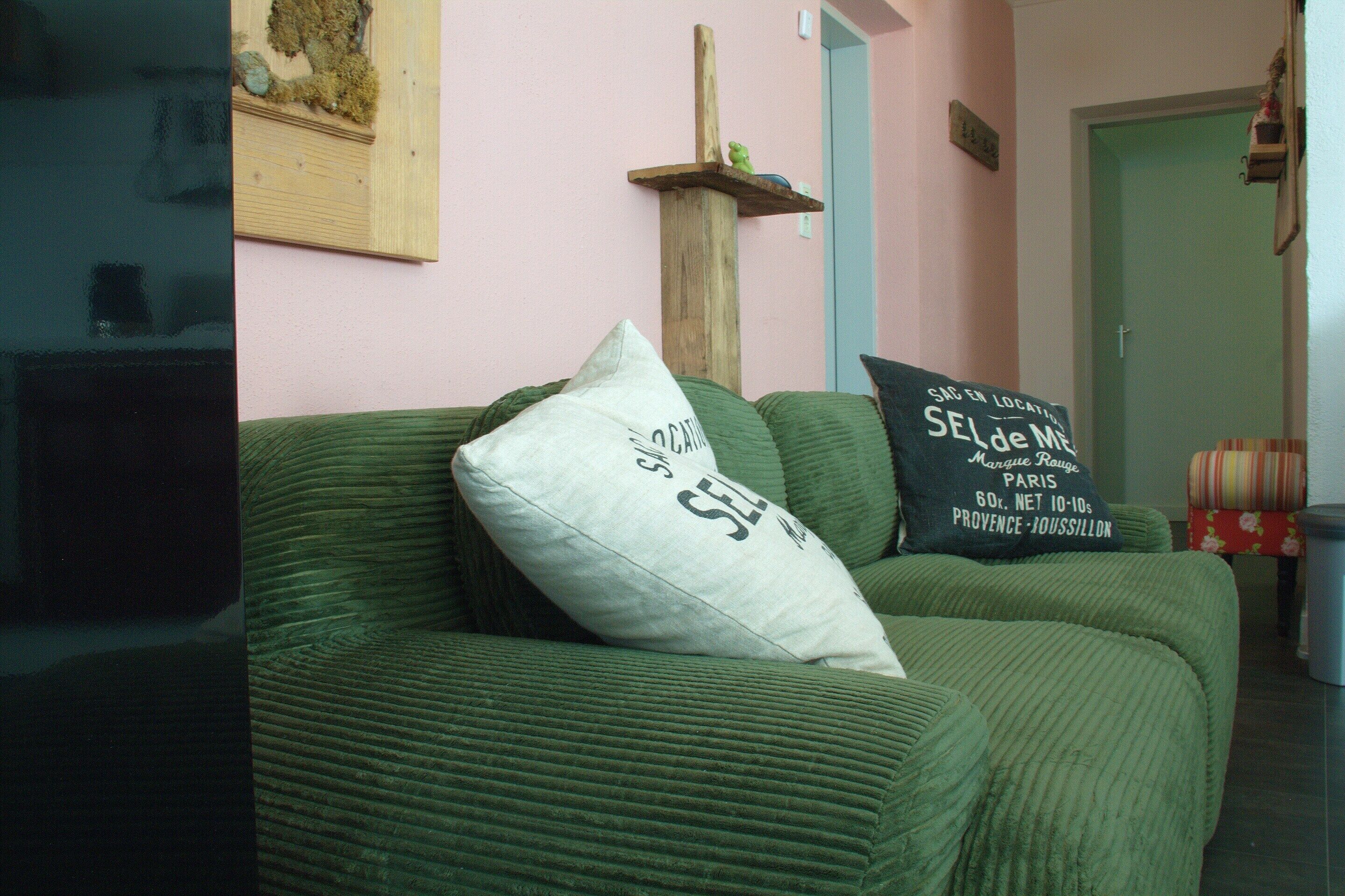 Ein grünes Sofa mit zwei Kissen, eine Holzregal mit einer grünen Froschfigur und eine Tür im Hintergrund.