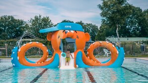 A water play area with a slide and inflatable octopus structures. - Nice Chalet With Dishwasher, Near Efteling (Kaatsheuvel)