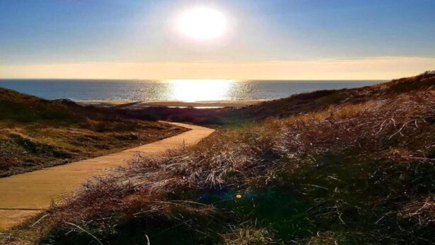A coastal path leading to the sea with a clear sky and sun. - Luxury Villa near Sea (Kamperland)