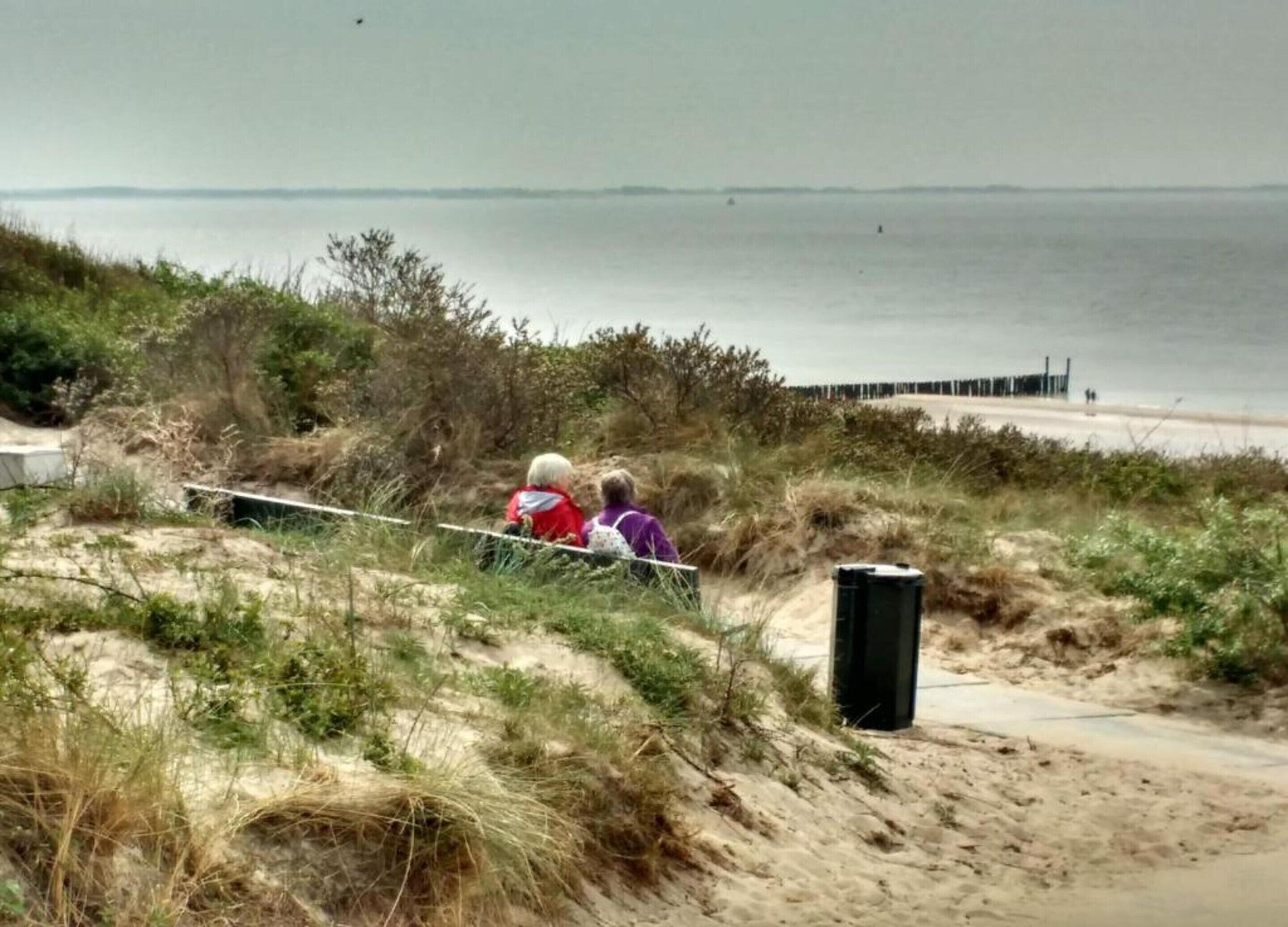 A coastal path with a sandy beach and vegetation.