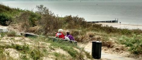 A coastal path with a sandy beach and vegetation.