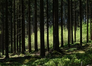 Talo | Näkymä majoituspaikasta