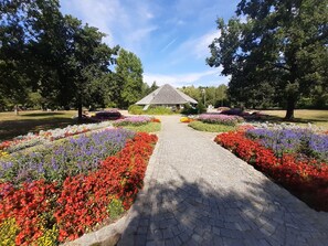 Apartment | View from property - Sunny, Modern Furnished Apartment Your Favourite Place to Relax (Viechtach)