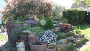 Un giardino con diverse piante e una scultura a forma d'orso.