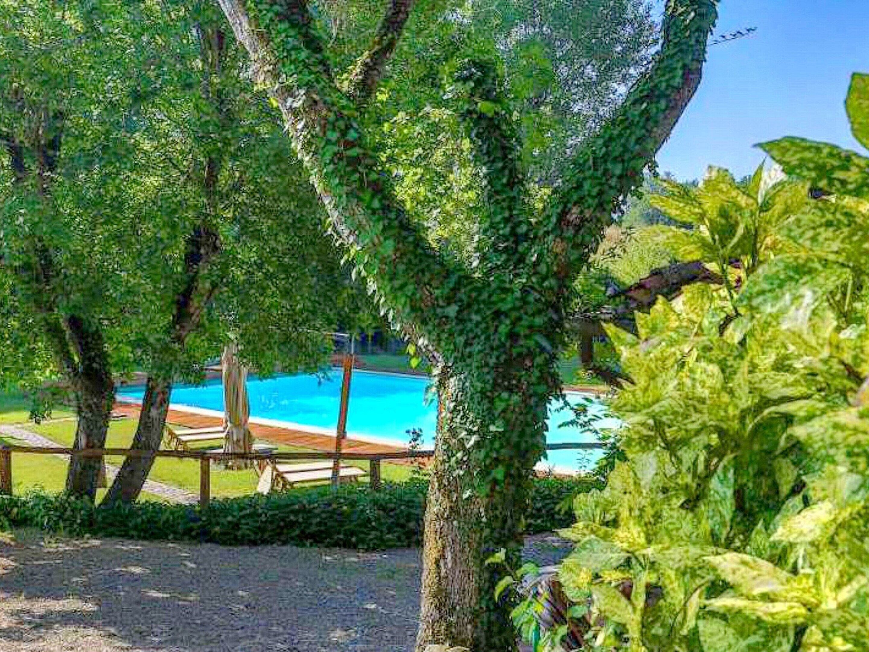 Un área de piscina rodeada de abundante follaje y árboles.