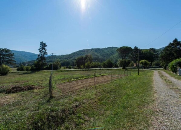 Un paysage rural avec un chemin de terre, des champs et une clôture.
