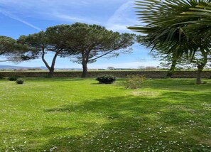 Villa | View from property - Villa in Arezzo With Pool and Vineyards (Arezzo)