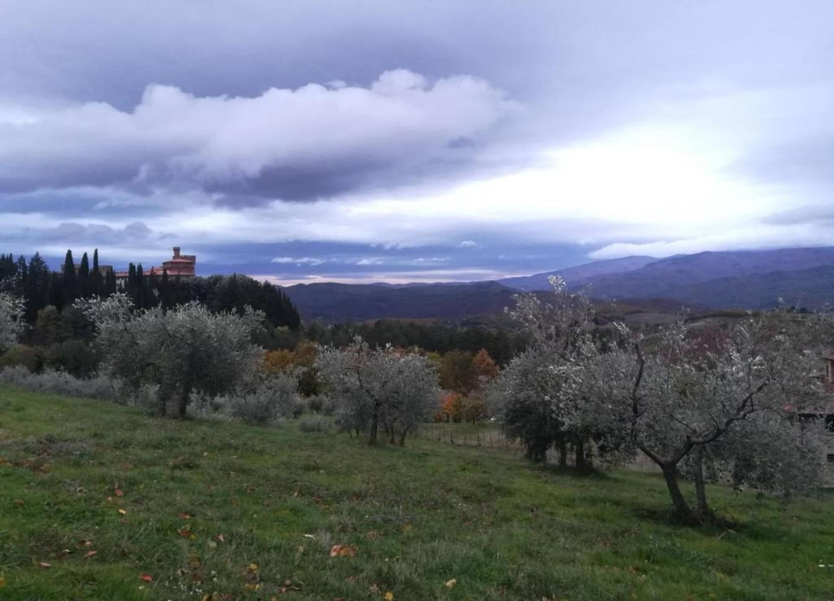 Un paysage rural avec un bâtiment situé sur une colline, entouré d’arbres et de champs ouverts.