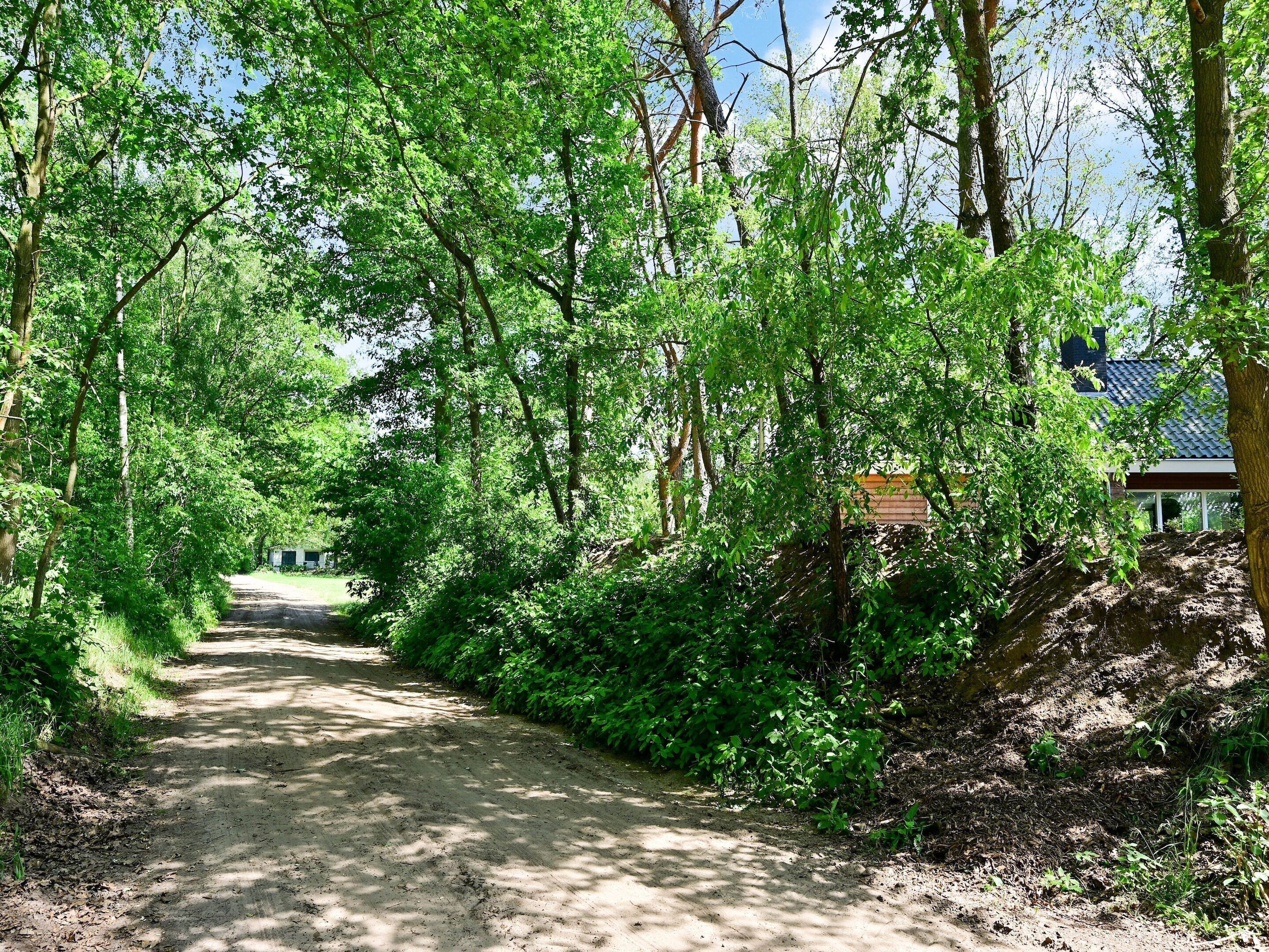 المنطقة المحيطة بالمنشأة