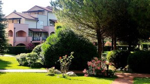 Immagine non classificata, 4 di 26, pulsante