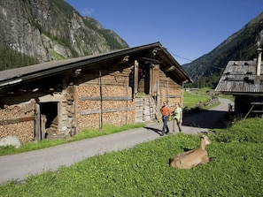 Exterior - Elegant Apartment in Aschau near Skiing (Aschau Im Zillertal)