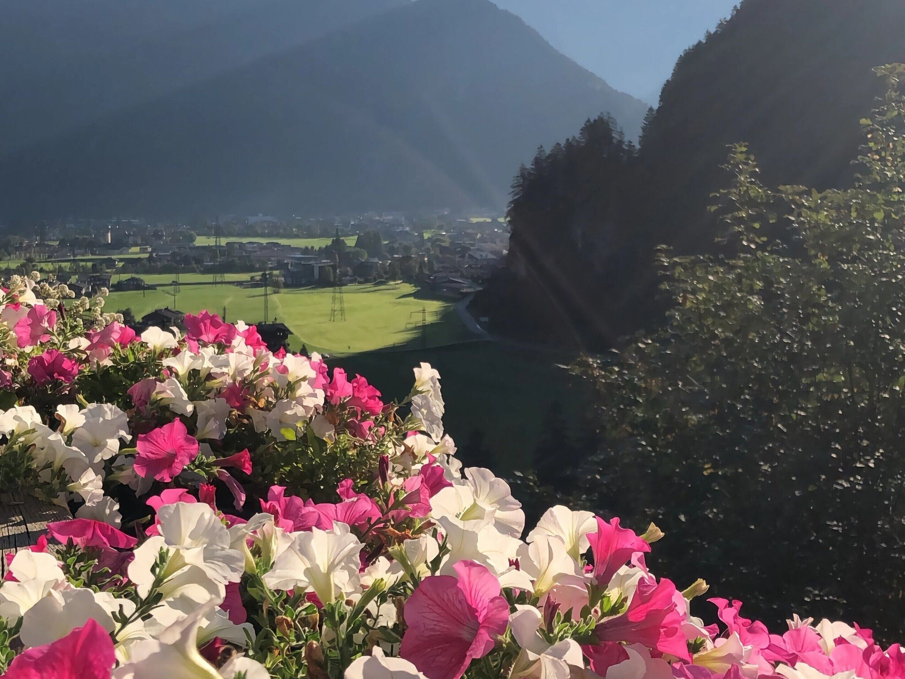 Vista de un valle con un río, rodeado de montañas y un campo.
