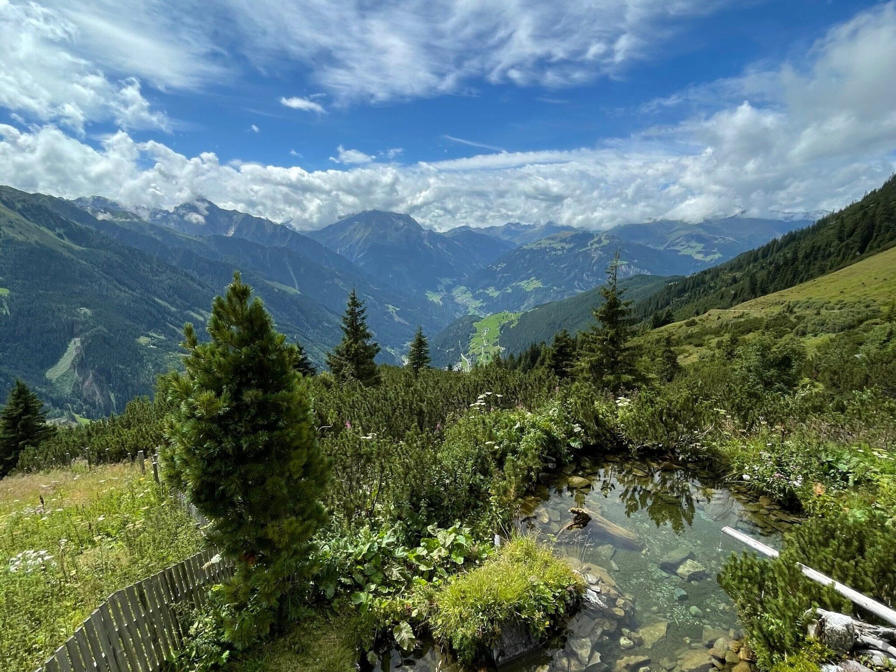 Un paysage montagneux avec un ruisseau aux eaux claires, une végétation luxuriante et des montagnes lointaines sous un ciel partiellement nuageux.