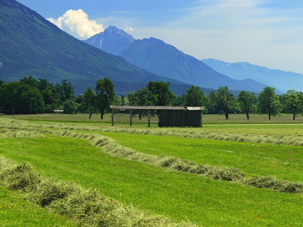 A rural landscape with a small wooden structure, possibly a barn, surrounded by green fields and trees. - Charming Apartment in Bled Near Lake (Bled)