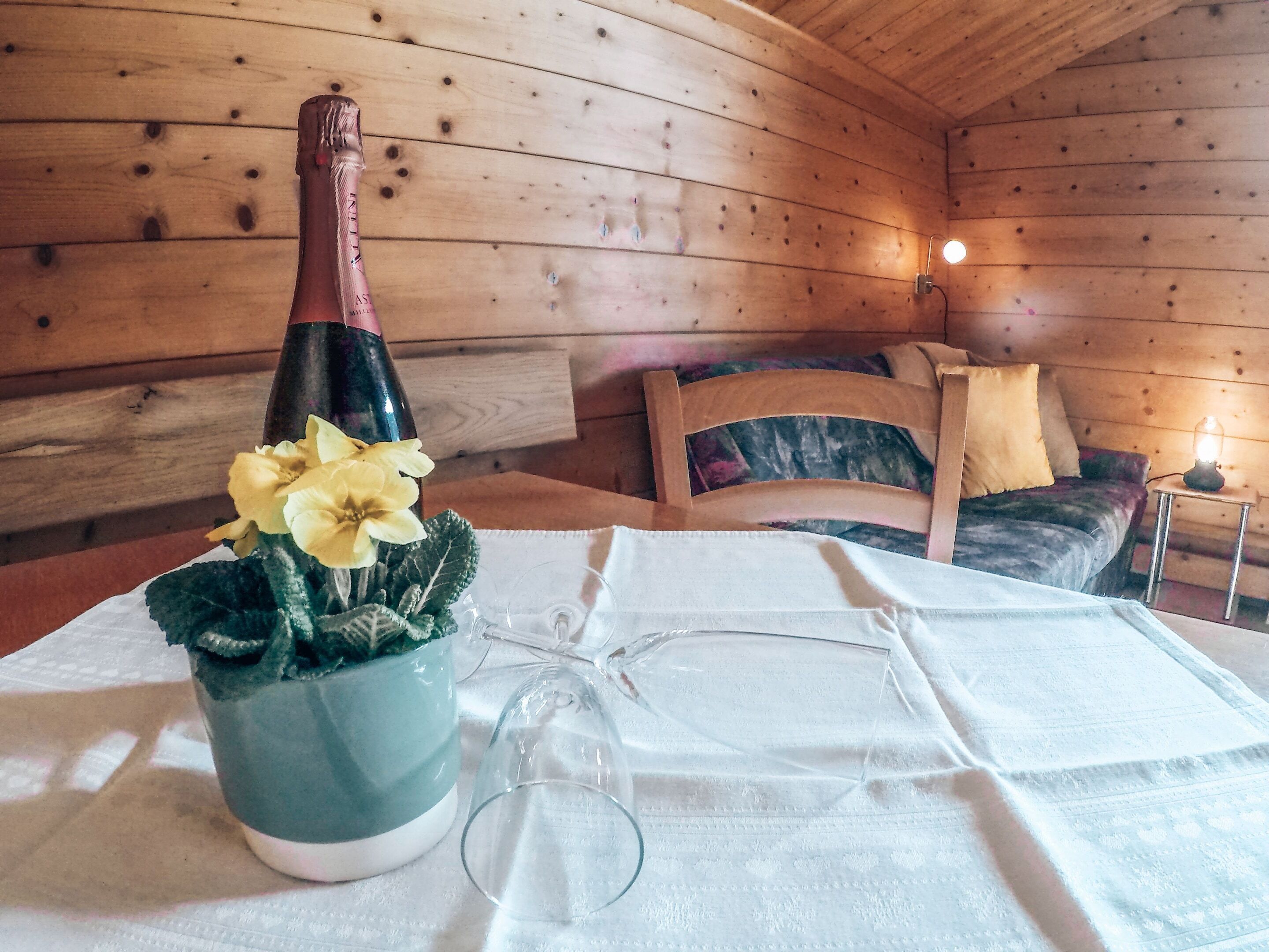 Apartment | Eigene Küche | Mikrowelle, Herdplatte