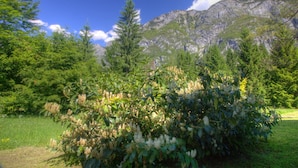 A mountainous landscape with dense greenery and a clear blue sky. - Serene Apartment in Bohinjsko Jezero near Ski Lift (Bohinj)