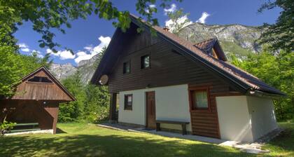 Serene Apartment in Bohinjsko Jezero near Ski Lift