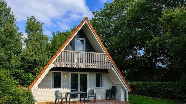 Exterior - Lovely Holiday Home With Open Fireplace set in Green Surroundings (Gramsbergen)