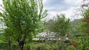 Un jardin luxuriant, entouré d’une clôture en bois, avec différents arbres et une vue lointaine sur un bâtiment.