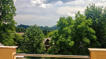 Apartemen | Pemandangan dari properti