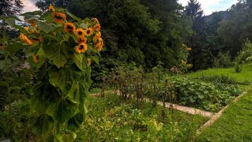 Apartemen | Eksterior