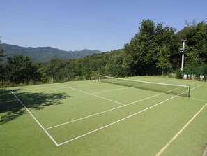Terrain de sport
