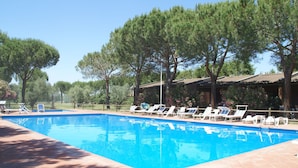 Outdoor pool - Lovely Apartment With Seaview and Directly on the Beach (Piombino)
