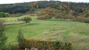 Unclassified image, 2 of 14, button - Blissful Apartment in Langula With Garden and Barbeque (Vogtei)
