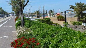 A coastal street with a bike lane, a Ferris wheel, and a beach area with umbrellas and palm trees.