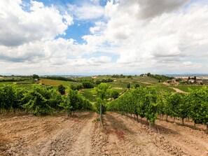 Casa | Vista da propriedade