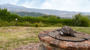 A turtle on a brick structure with a metal grid, surrounded by a grassy field and trees, with mountains in the background. - Belvilla by OYO Piandigoro - Le Querce (Radicofani)