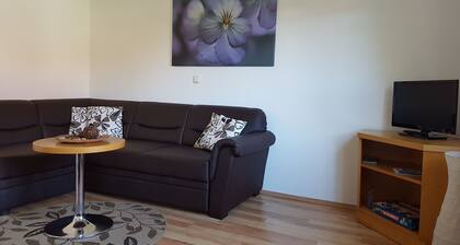 Serene Apartment in Falkenstein near Farm & Museum