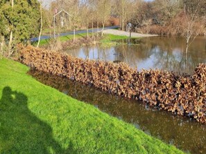 A body of water with a grassy bank and leaf-covered ground. - 6 Person Holiday Home in Humble (Sydlangeland)
