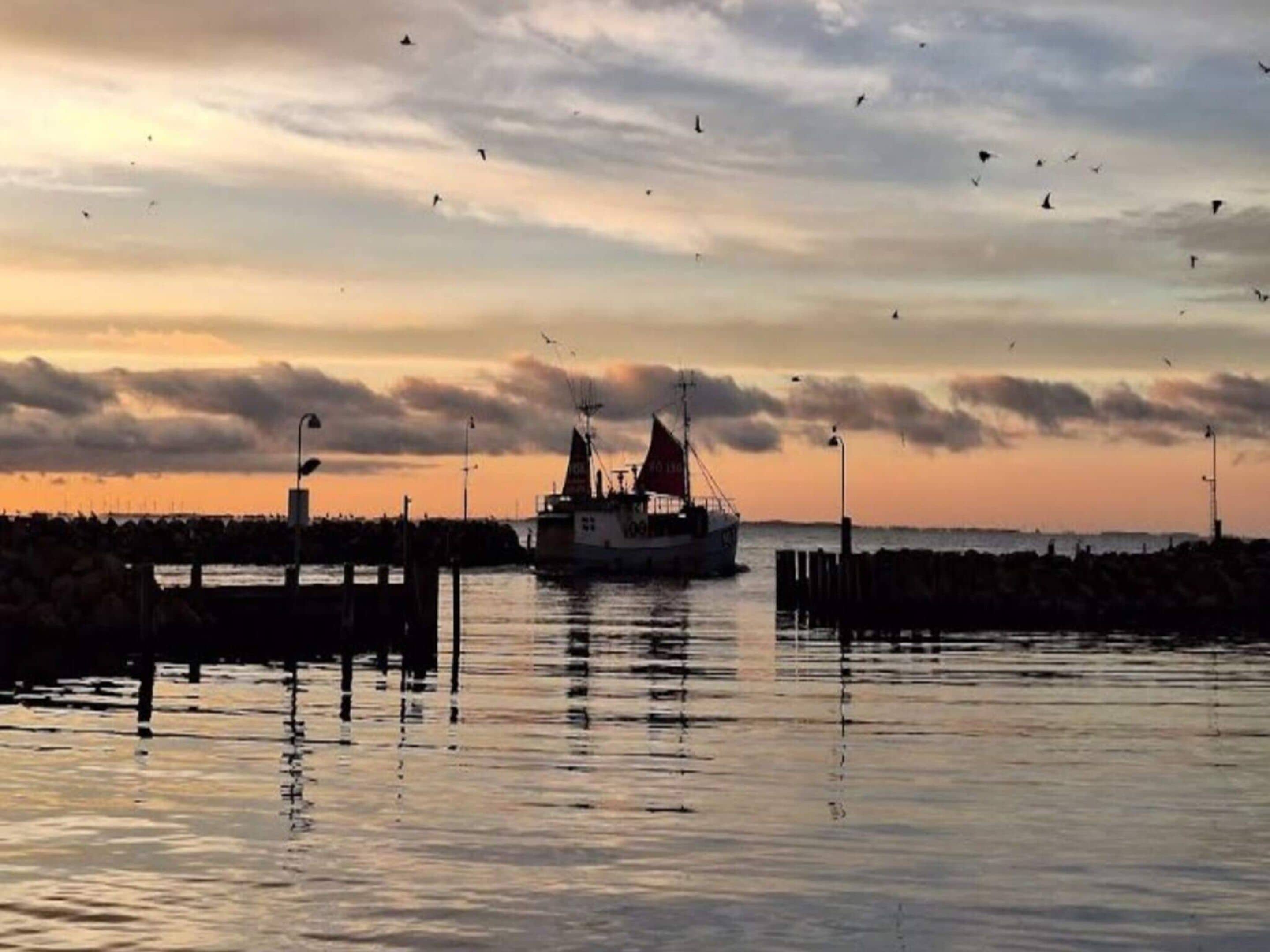A boat docked at a pier during sunset.