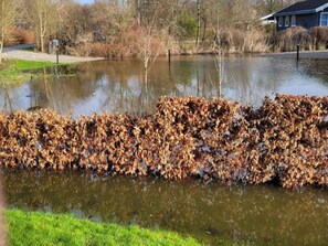 A pond with a leaf-covered bank and a house in the background. - 6 Person Holiday Home in Humble (Sydlangeland)