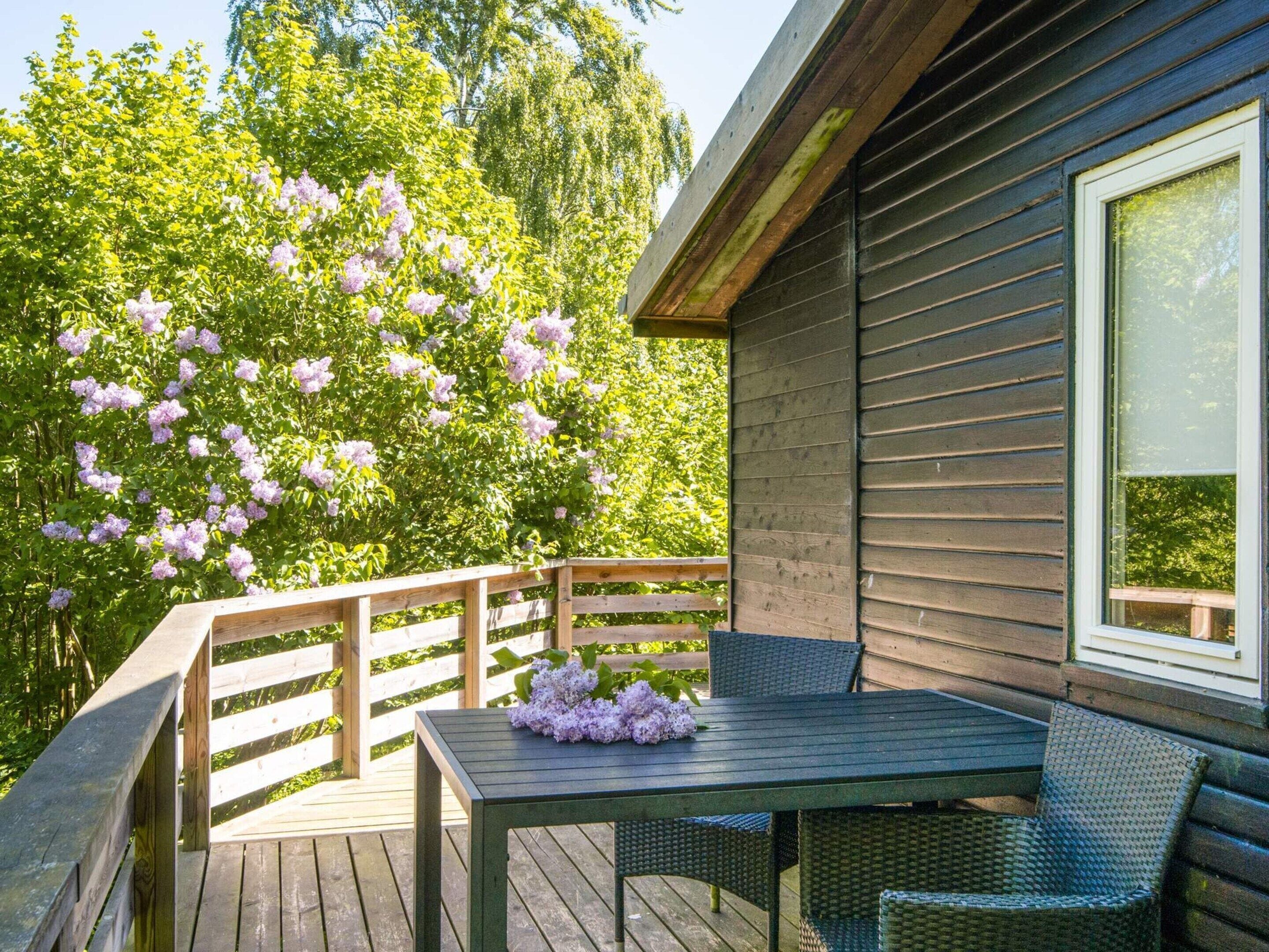 House | View from property