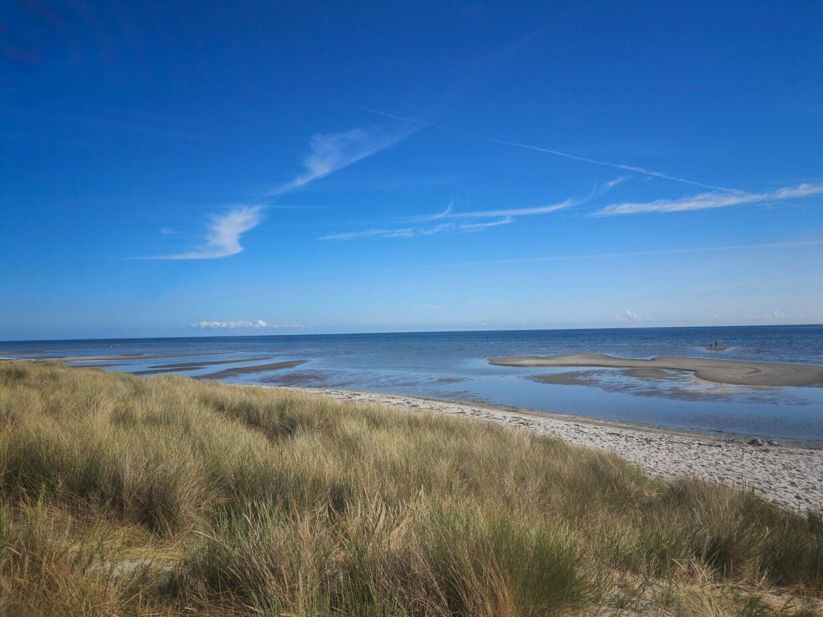 Ein Strand mit Dünen und blauem Himmel.