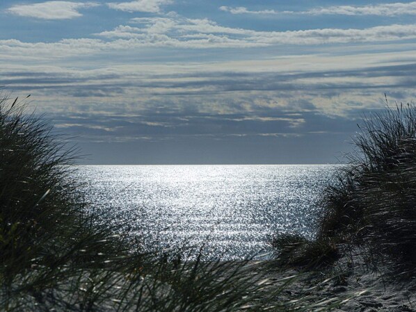En utsikt över stranden med havet och himlen i bakgrunden.