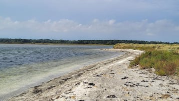 Paisaje natural con una playa arenosa y una extensión acuática tranquila.