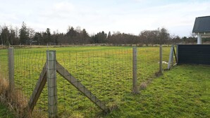 House | Property grounds