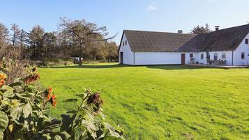 House | View from property