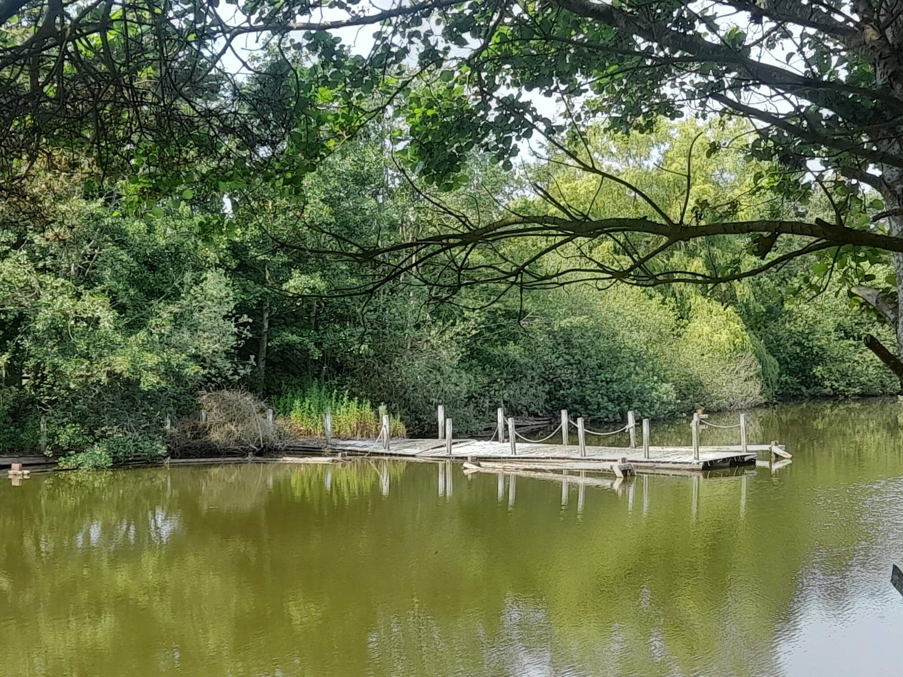 Ein ruhiger See mit einer hölzernen Anlegestelle, die sich ins Wasser erstreckt, umgeben von dichtem Grün.