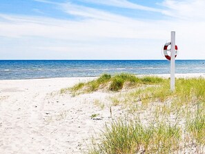 Ferienhaus | Blick von der Unterkunft