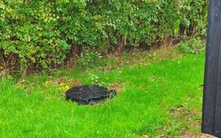 Un área cubierta de césped con un objeto circular negro, posiblemente un basurero, y una densa siega verde al fondo.