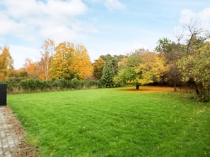 A grassy outdoor area with trees and a paved path.