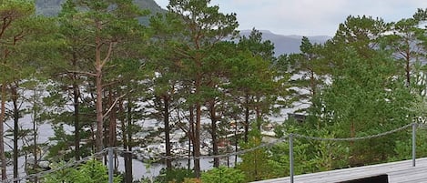 บ้านพัก | บริเวณภายนอก