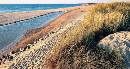 Beachside Serenity-by Traum