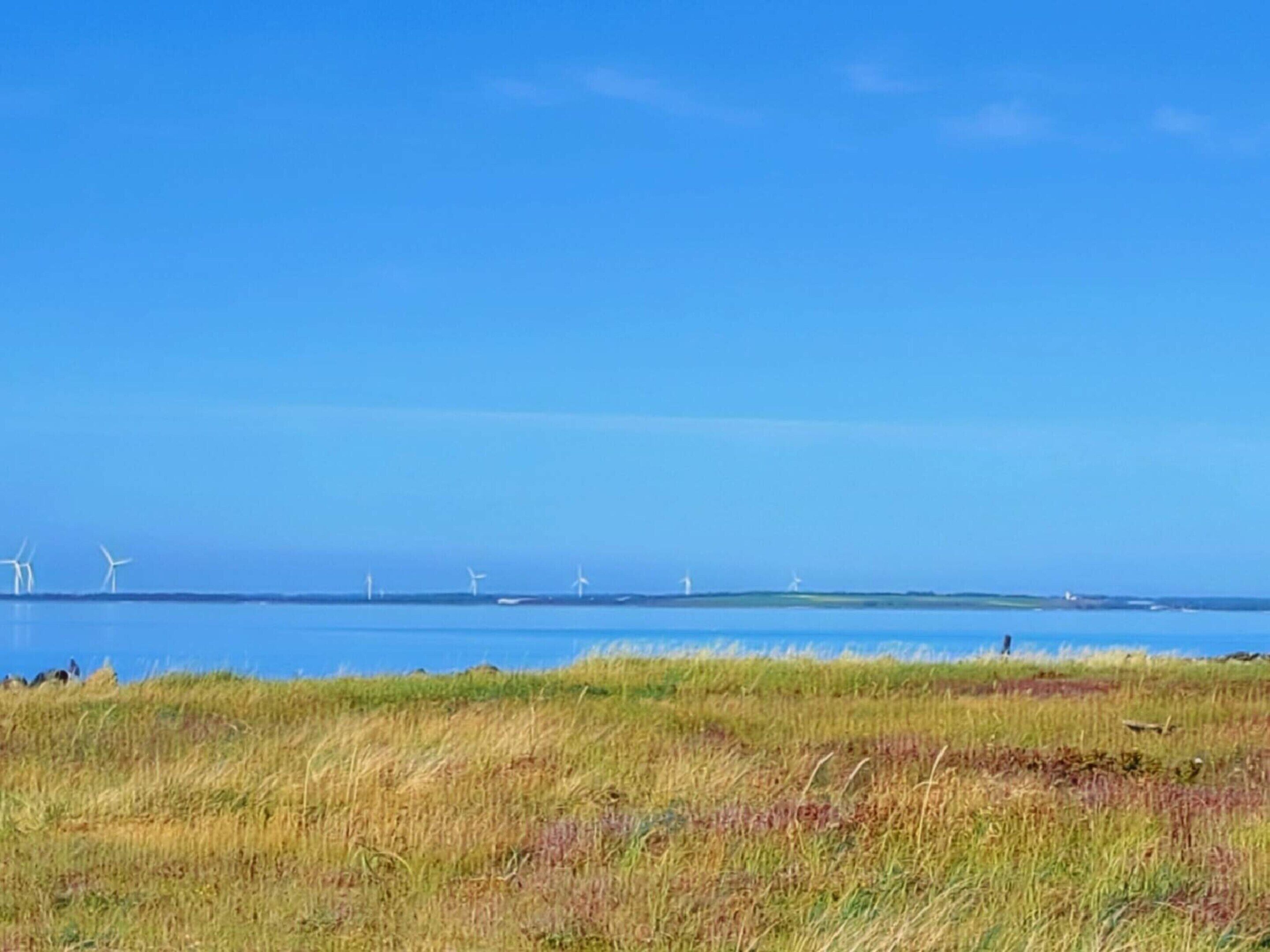 A coastal landscape with wind turbines and grassy terrain.