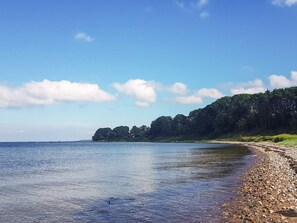 En strand med en klippefyldt kystlinje, roligt vand og en skovklædt bakke i baggrunden.